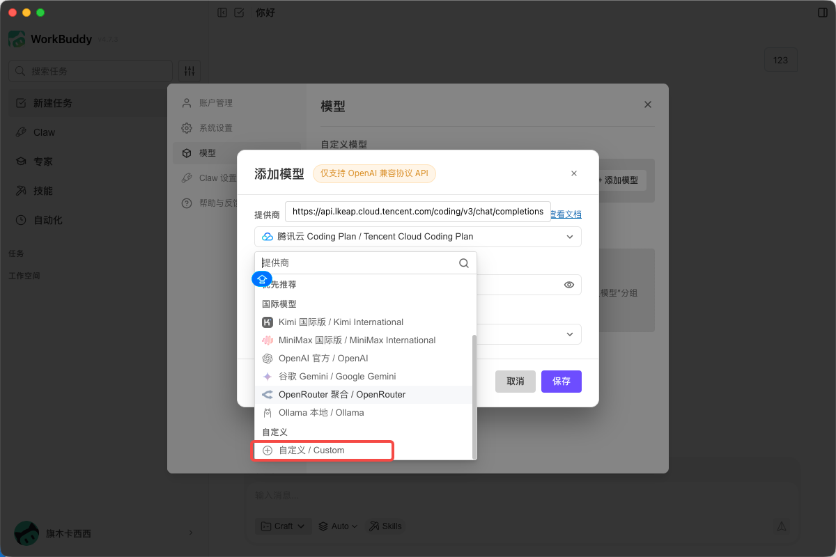 在提供商列表中选择「自定义 / Custom」